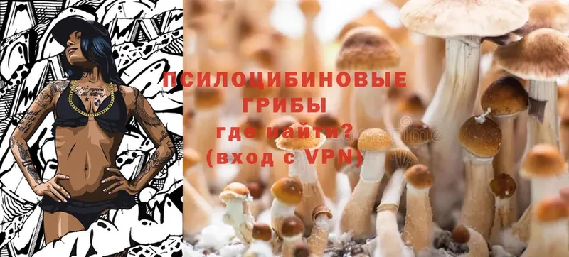 Галлюциногенные грибы Magic Shrooms  дарнет шоп  Зеленогорск 